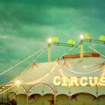 Circus 8x10 Carnival Photo